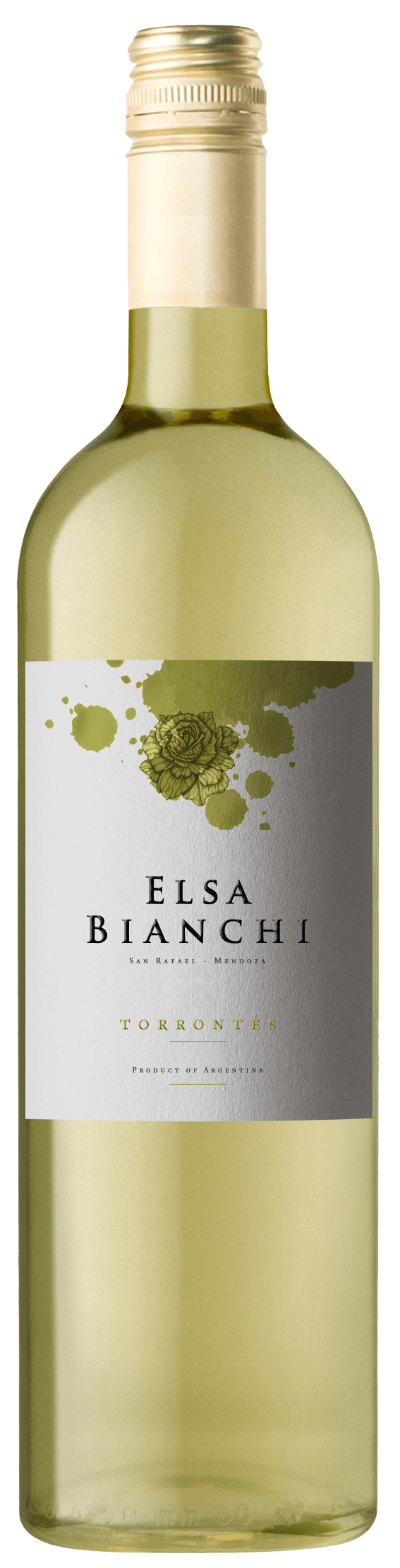 ELSA BIANCHI TORRONTES
