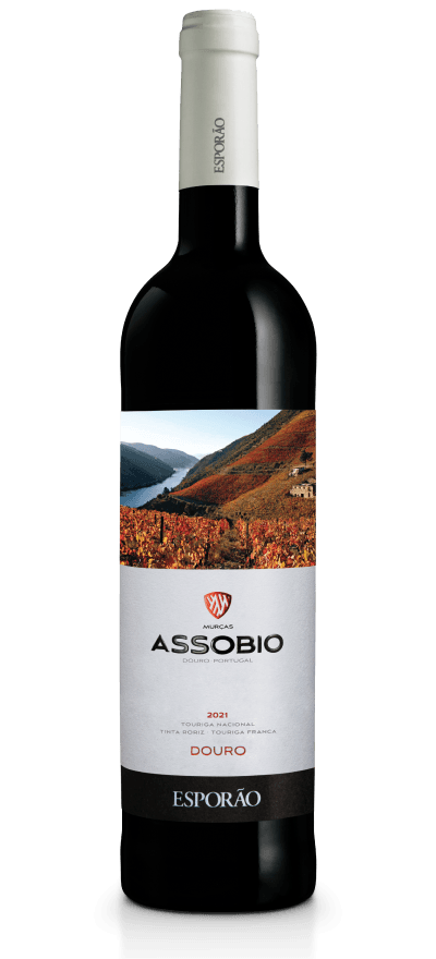 ASSOBIO RED BY ESPORAO